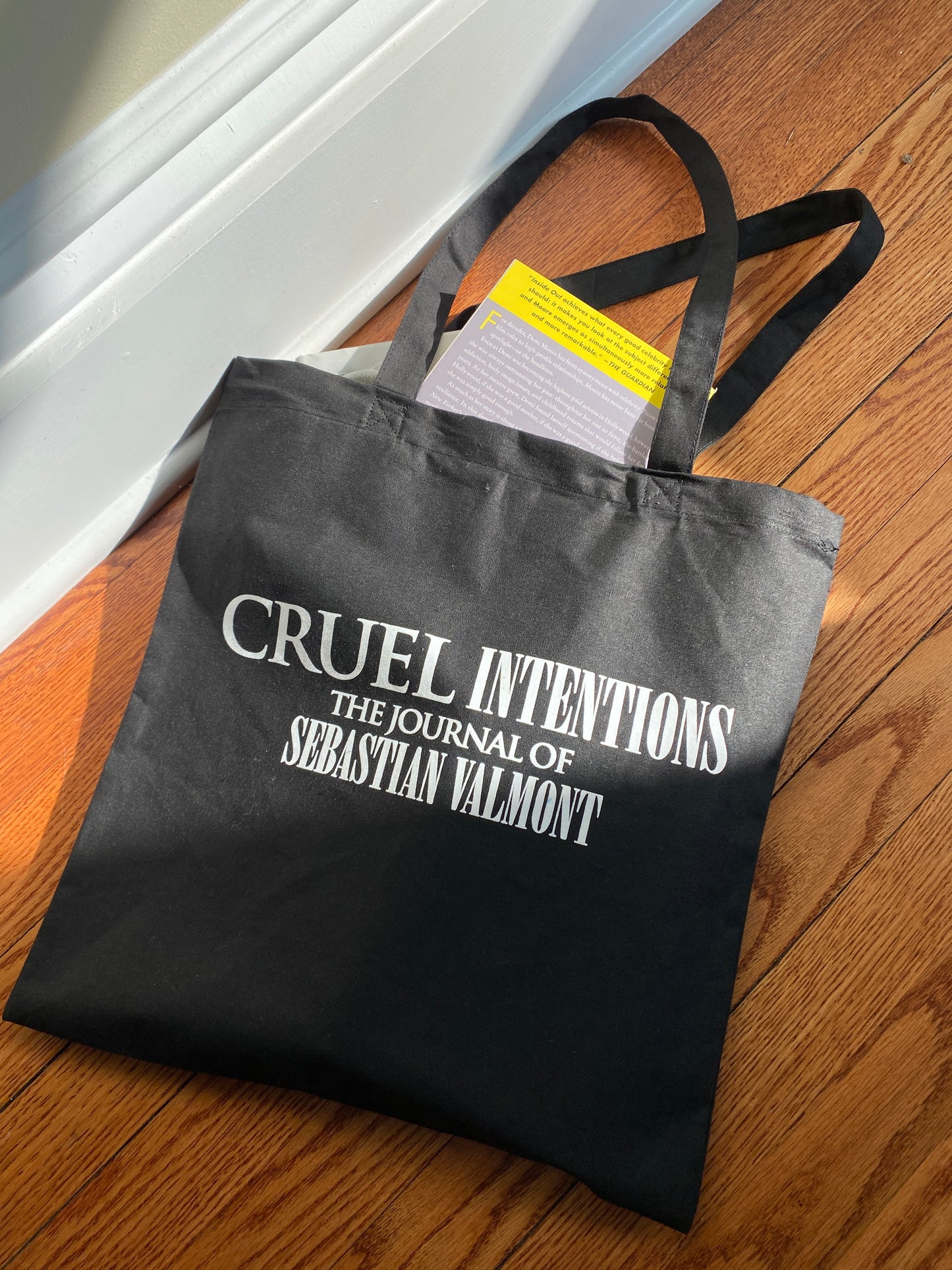 Cruel Intentions The Journal of Sebastian Bag